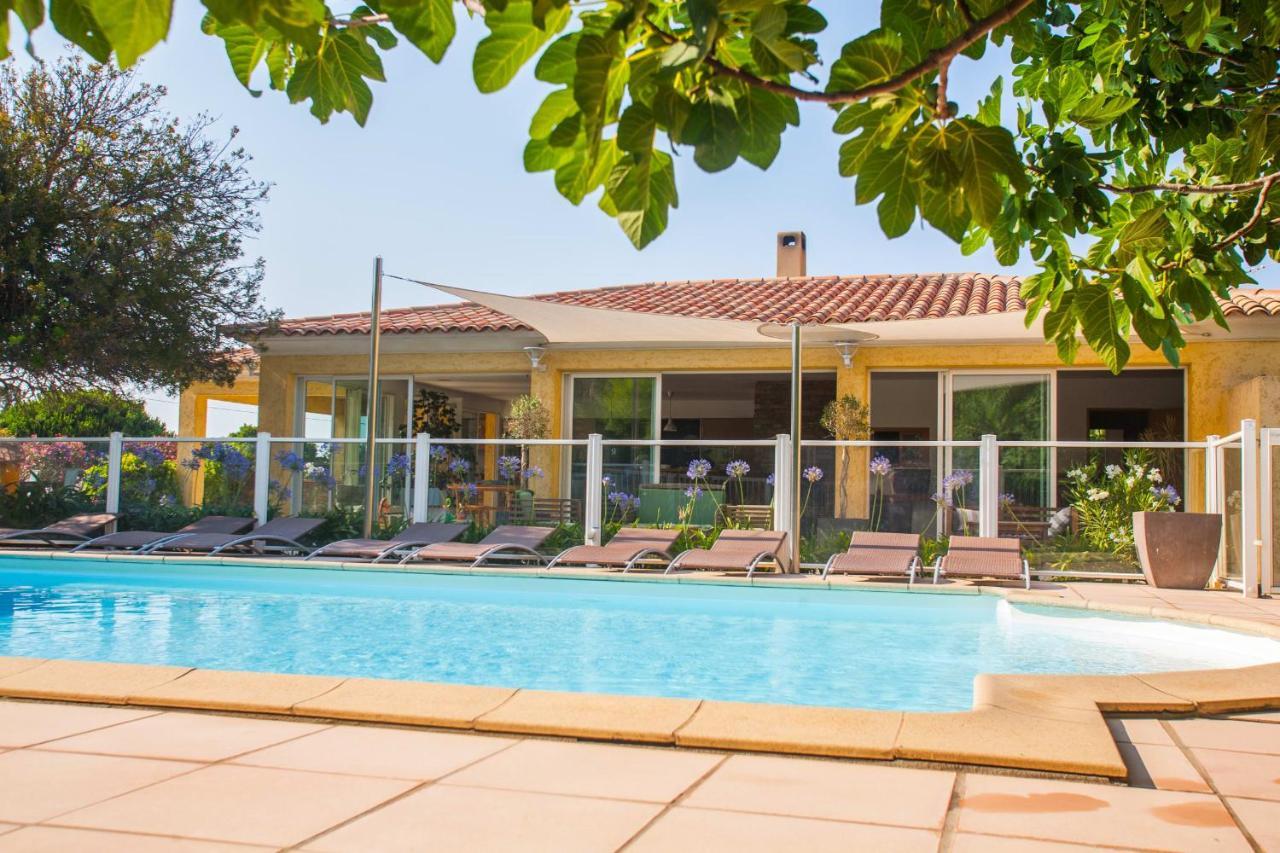 Maison Kiwi Avec Piscine Chauffee Terrasse Jardin Et Bbq A Calvi Calvi  Eksteriør billede